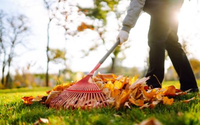 Steuern sparen mit dem Herbst-Check: Garten- und Hausarbeiten clever absetzen